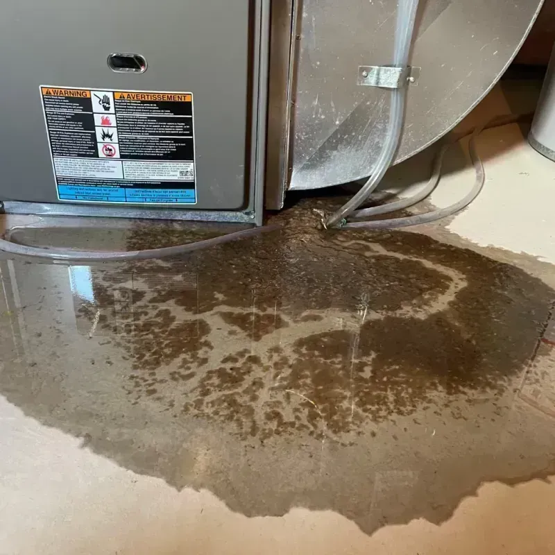 Appliance Leak Cleanup in Scott County, MO